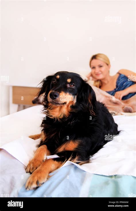 Beautiful Girl Playing with her Dog on Bed